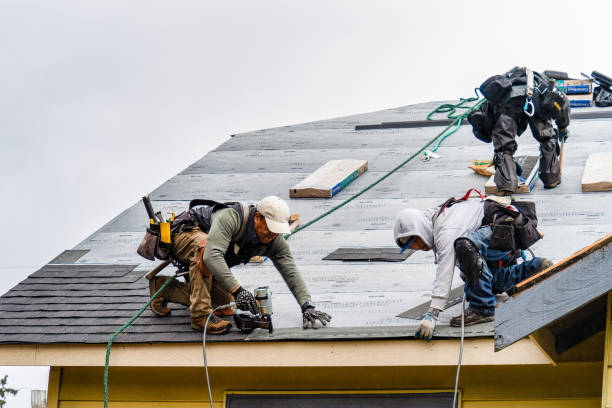 Professional Gutter Installation technician working in Corryton, TN